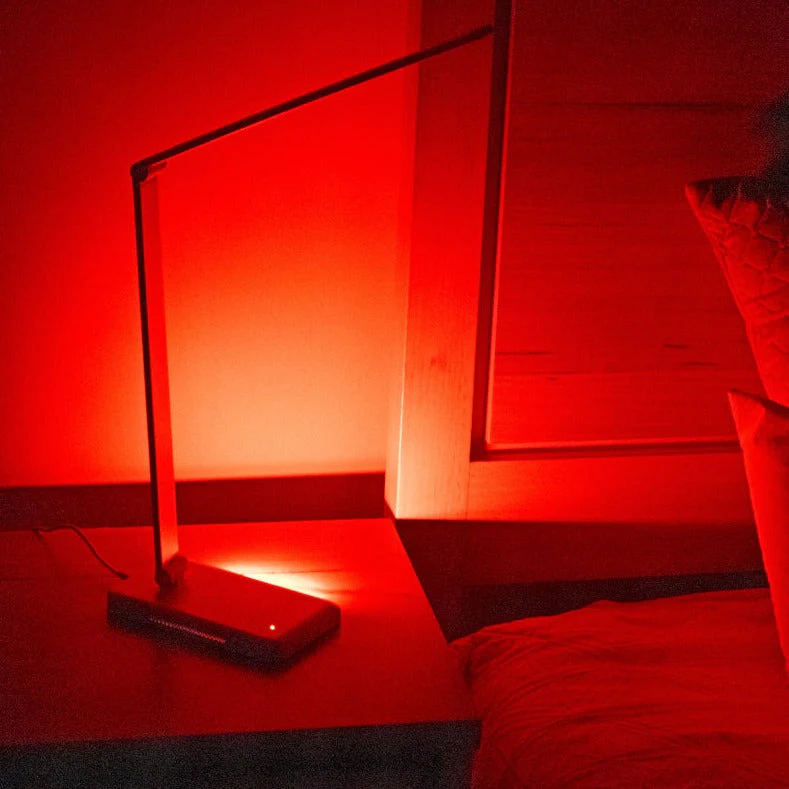 BioLight Full Spectrum Lamp - Image 7